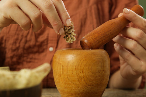 Medicina Ayurveda e Skincare - Terral Natural